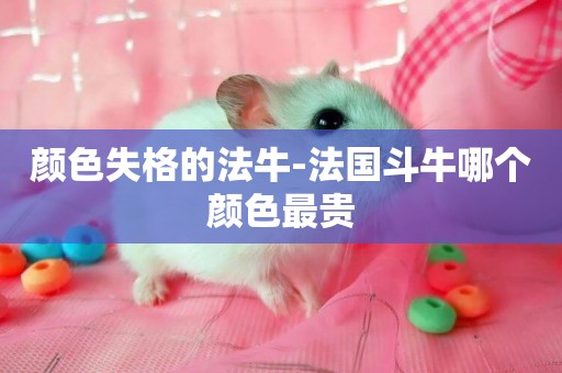 顏色失格的法牛-法國斗牛哪個顏色最貴