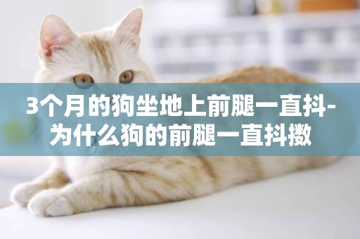 3個月的狗坐地上前腿一直抖-為什么狗的前腿一直抖擻