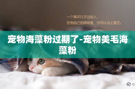 寵物海藻粉過期了-寵物美毛海藻粉