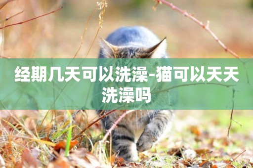 經期幾天可以洗澡-貓可以天天洗澡嗎