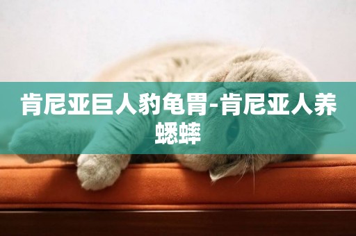 肯尼亞巨人豹龜胃-肯尼亞人養蟋蟀