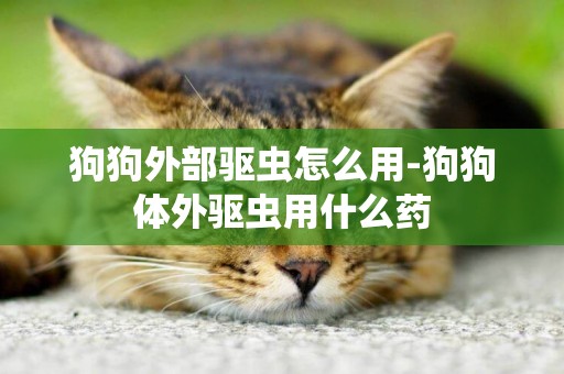 狗狗外部驅蟲怎么用-狗狗體外驅蟲用什么藥
