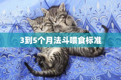 3到5個月法斗喂食標準