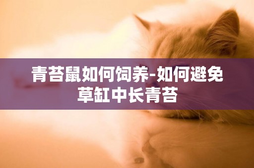 青苔鼠如何飼養-如何避免草缸中長青苔