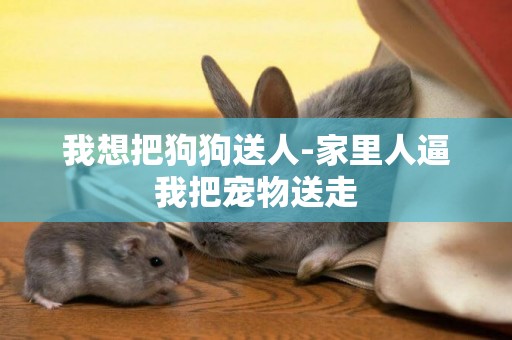 我想把狗狗送人-家里人逼我把寵物送走