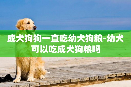 成犬狗狗一直吃幼犬狗糧-幼犬可以吃成犬狗糧嗎