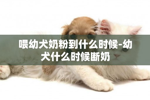 喂幼犬奶粉到什么時候-幼犬什么時候斷奶