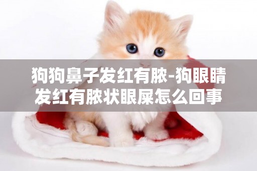 狗狗鼻子發紅有膿-狗眼睛發紅有膿狀眼屎怎么回事