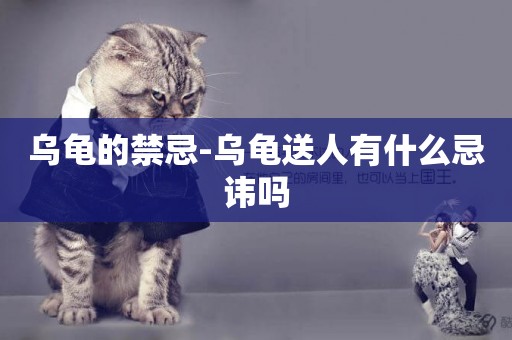 烏龜的禁忌-烏龜送人有什么忌諱嗎