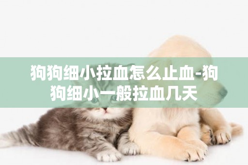 狗狗細小拉血怎么止血-狗狗細小一般拉血幾天