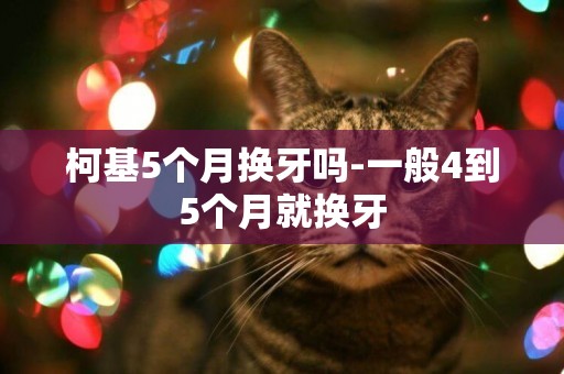 柯基5個月換牙嗎-一般4到5個月就換牙