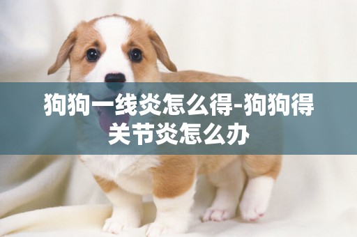 狗狗一線炎怎么得-狗狗得關節炎怎么辦