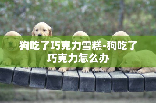 狗吃了巧克力雪糕-狗吃了巧克力怎么辦