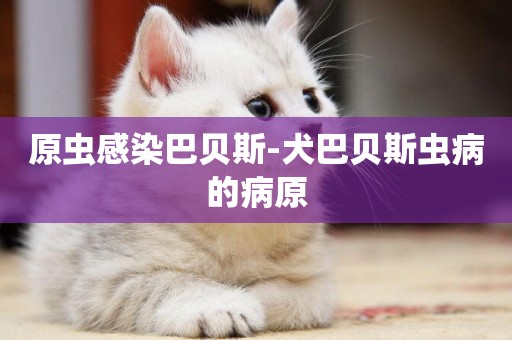 原蟲感染巴貝斯-犬巴貝斯蟲病的病原
