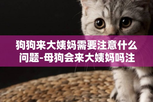狗狗來大姨媽需要注意什么問題-母狗會來大姨媽嗎注意事項有什么
