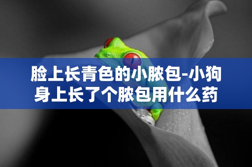 臉上長青色的小膿包-小狗身上長了個膿包用什么藥