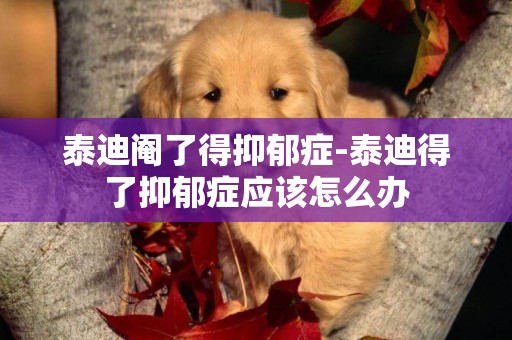泰迪閹了得抑郁癥-泰迪得了抑郁癥應該怎么辦