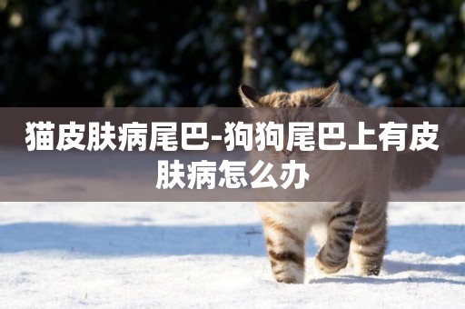 貓皮膚病尾巴-狗狗尾巴上有皮膚病怎么辦