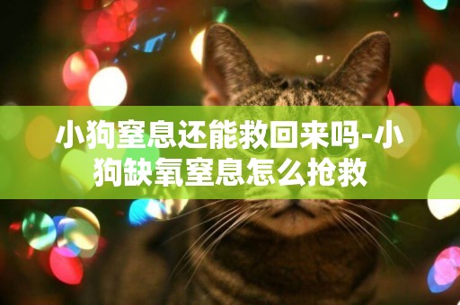 小狗窒息還能救回來嗎-小狗缺氧窒息怎么搶救