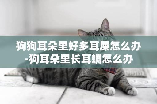 狗狗耳朵里好多耳屎怎么辦-狗耳朵里長耳螨怎么辦