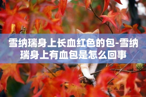 雪納瑞身上長血紅色的包-雪納瑞身上有血包是怎么回事