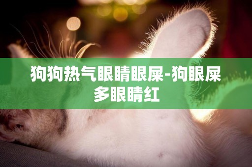 狗狗熱氣眼睛眼屎-狗眼屎多眼睛紅