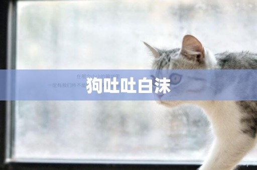 狗吐吐白沫