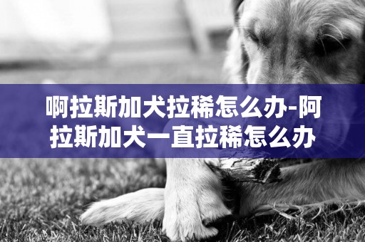 啊拉斯加犬拉稀怎么辦-阿拉斯加犬一直拉稀怎么辦