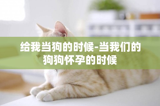 給我當狗的時候-當我們的狗狗懷孕的時候