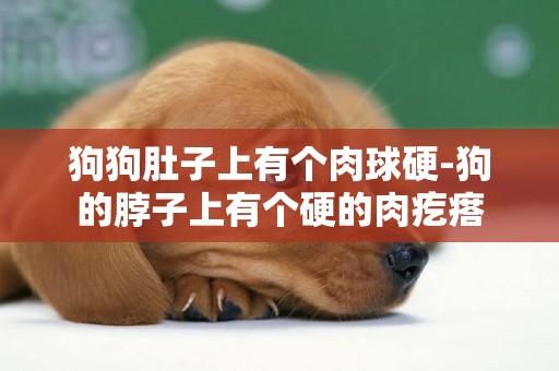 狗狗肚子上有個肉球硬-狗的脖子上有個硬的肉疙瘩