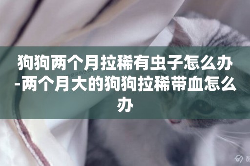 狗狗兩個月拉稀有蟲子怎么辦-兩個月大的狗狗拉稀帶血怎么辦