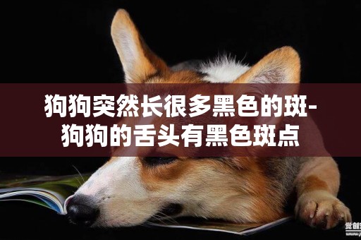 狗狗突然長很多黑色的斑-狗狗的舌頭有黑色斑點