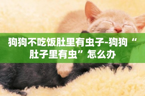 狗狗不吃飯肚里有蟲子-狗狗“肚子里有蟲”怎么辦