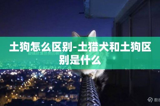 土狗怎么區別-土獵犬和土狗區別是什么
