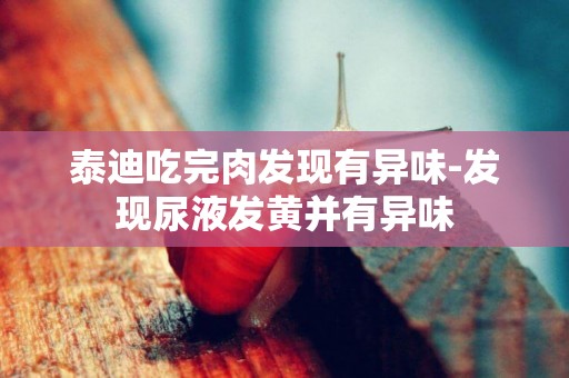 泰迪吃完肉發現有異味-發現尿液發黃并有異味