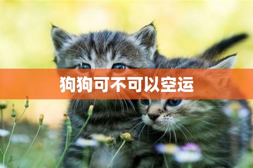 狗狗可不可以空運