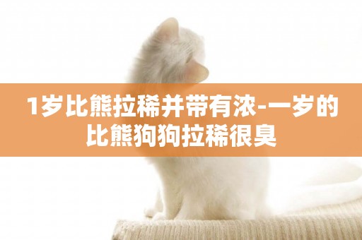 1歲比熊拉稀并帶有濃-一歲的比熊狗狗拉稀很臭