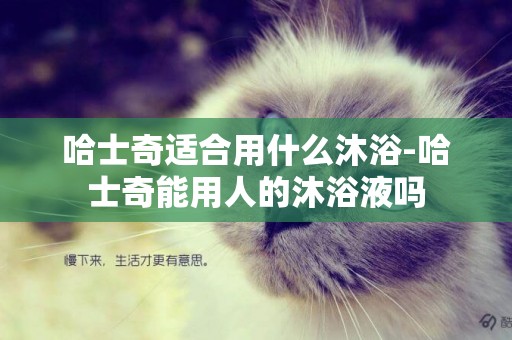 哈士奇適合用什么沐浴-哈士奇能用人的沐浴液嗎