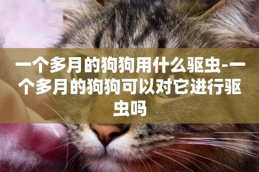 一個多月的狗狗用什么驅蟲-一個多月的狗狗可以對它進行驅蟲嗎