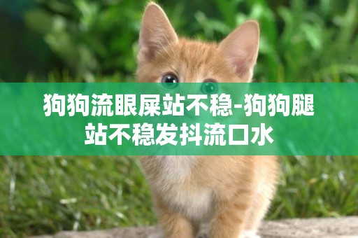 狗狗流眼屎站不穩-狗狗腿站不穩發抖流口水