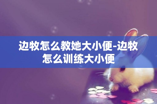 邊牧怎么教她大小便-邊牧怎么訓練大小便