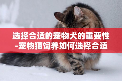 選擇合適的寵物犬的重要性-寵物貓飼養如何選擇合適的貓糧
