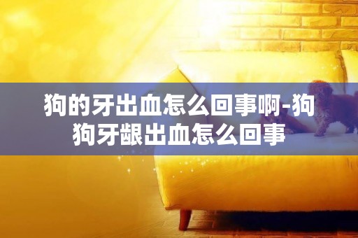 狗的牙出血怎么回事啊-狗狗牙齦出血怎么回事