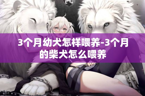 3個月幼犬怎樣喂養-3個月的柴犬怎么喂養