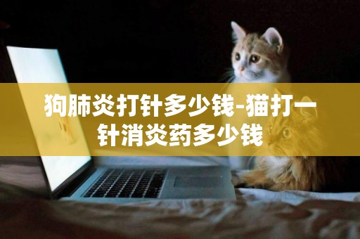 狗肺炎打針多少錢-貓打一針消炎藥多少錢