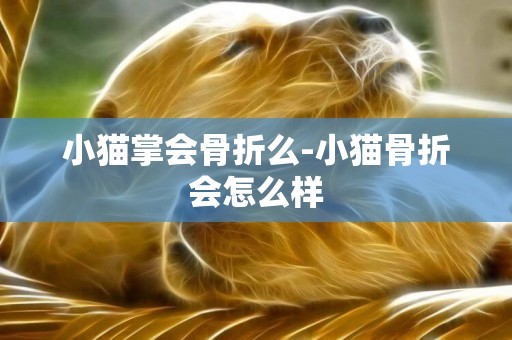 小貓掌會骨折么-小貓骨折會怎么樣
