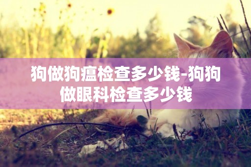 狗做狗瘟檢查多少錢-狗狗做眼科檢查多少錢