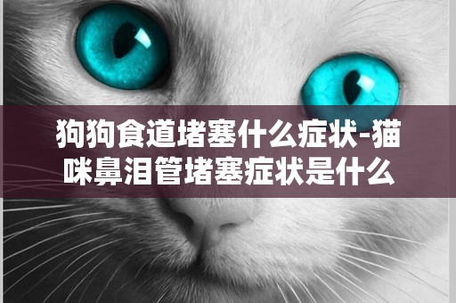 狗狗食道堵塞什么癥狀-貓咪鼻淚管堵塞癥狀是什么