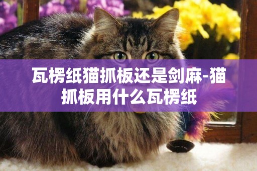 瓦楞紙貓抓板還是劍麻-貓抓板用什么瓦楞紙