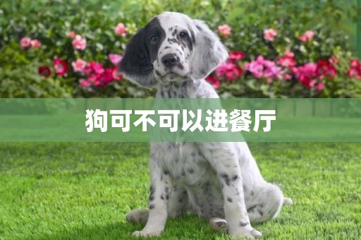 狗可不可以進餐廳